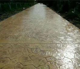 壓花藝術(shù)地坪
